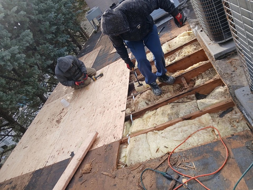 quality affordable construction llc 2026 03 18T13 05 08.574225Z 019d010c c696 78c5 911f 5988b70a7d22